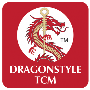 Dragonstyle Logo Apps