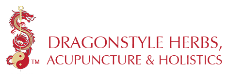 Dragonstyle Logo