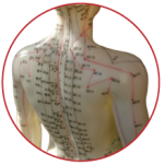 Acupuncture and Traditional Chinese Medicine Treatments
