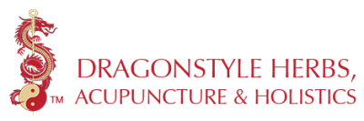 Dragonstyle Logo